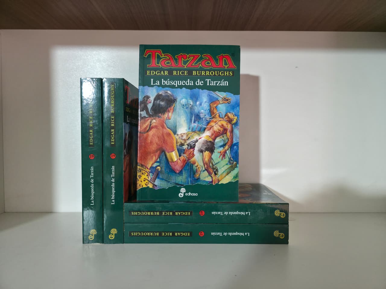 Tarzán - La búsqueda de Tarzán