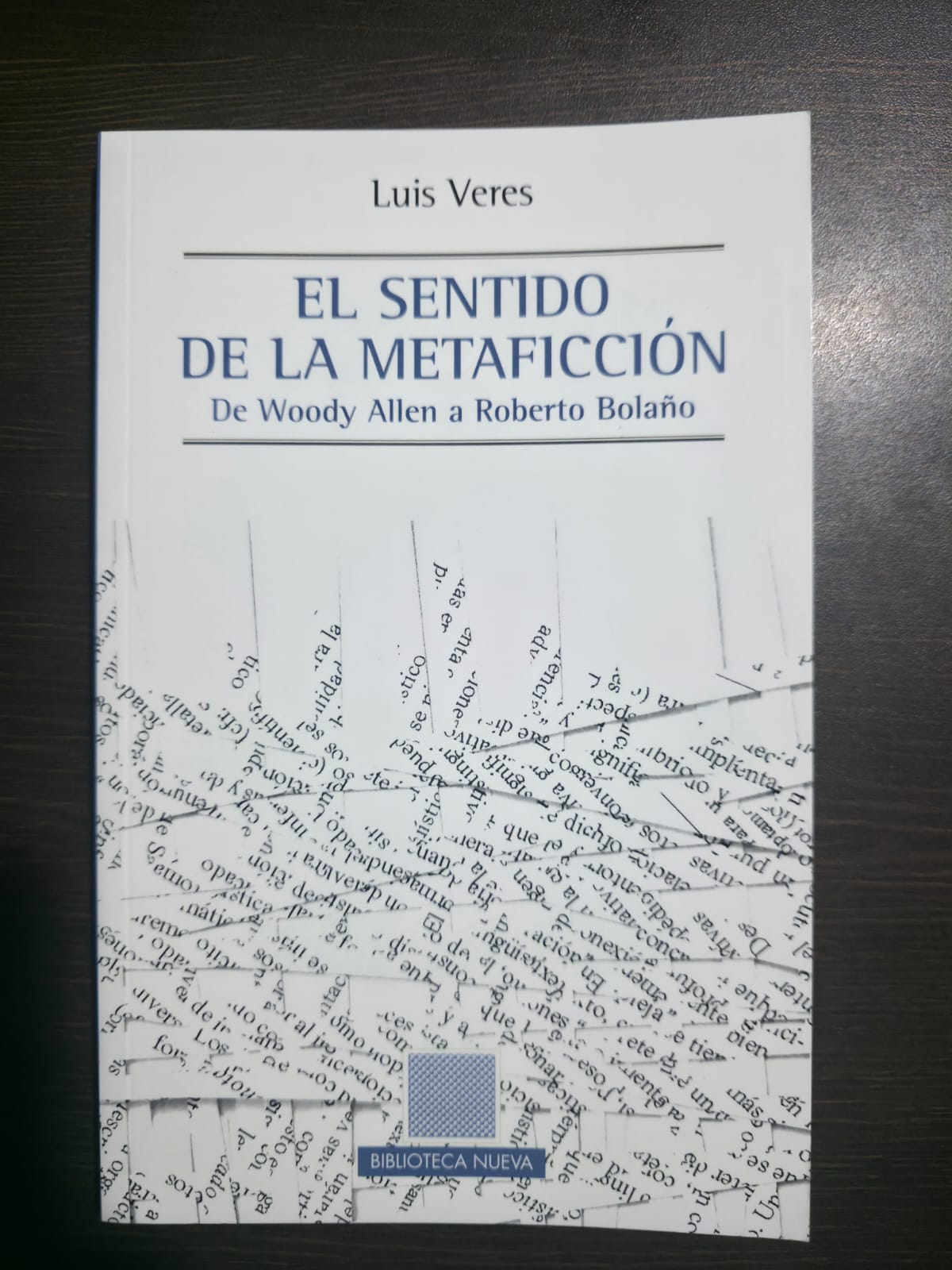 El sentido de la metaficción - Biblioteca nueva