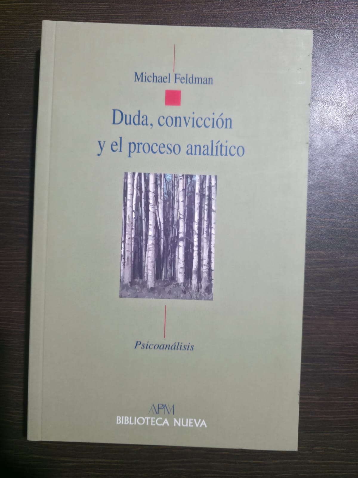 Duda, convicción y el proceso analítico