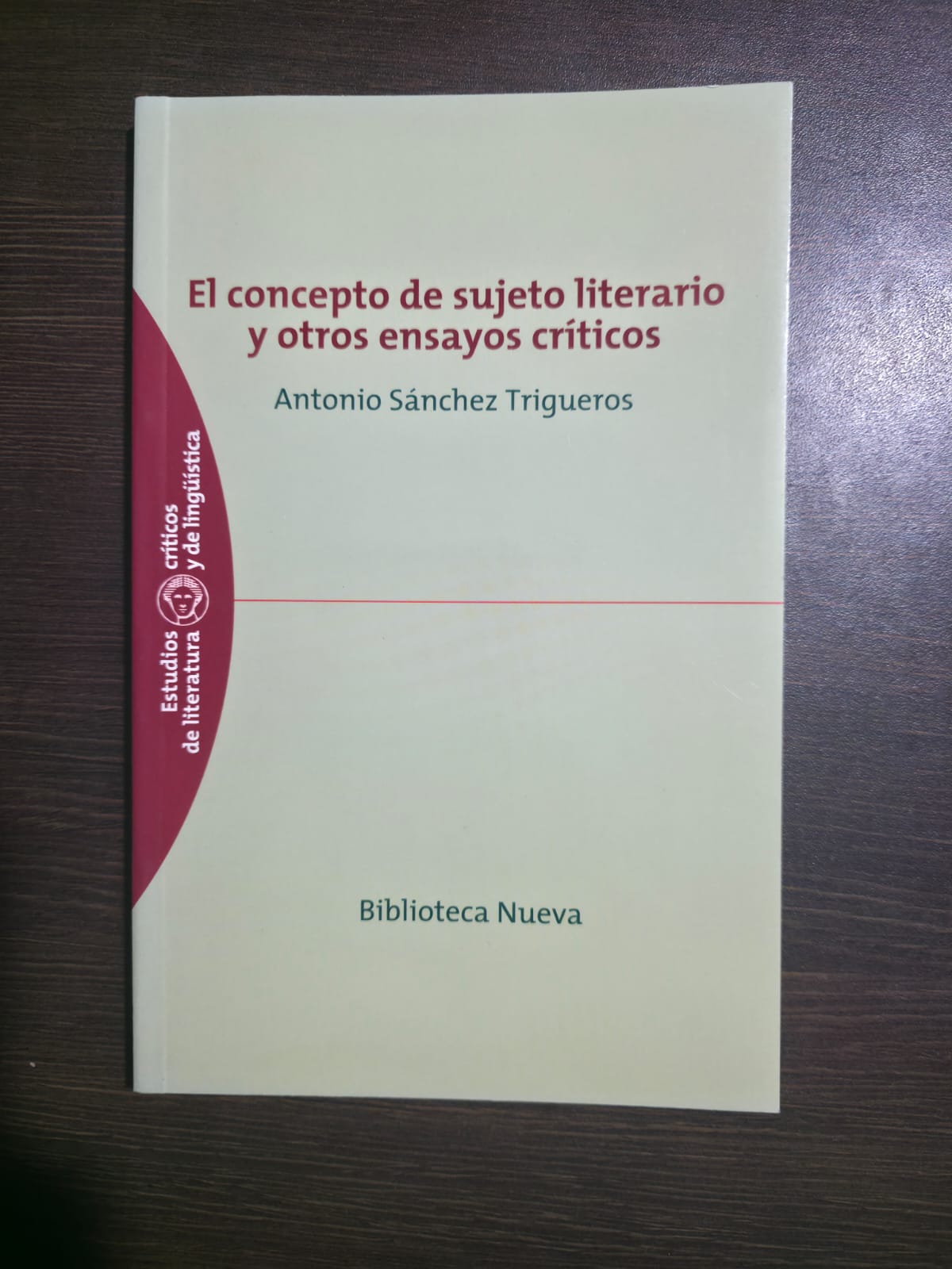 El concepto de sujeto literario y otros ensayos críticos