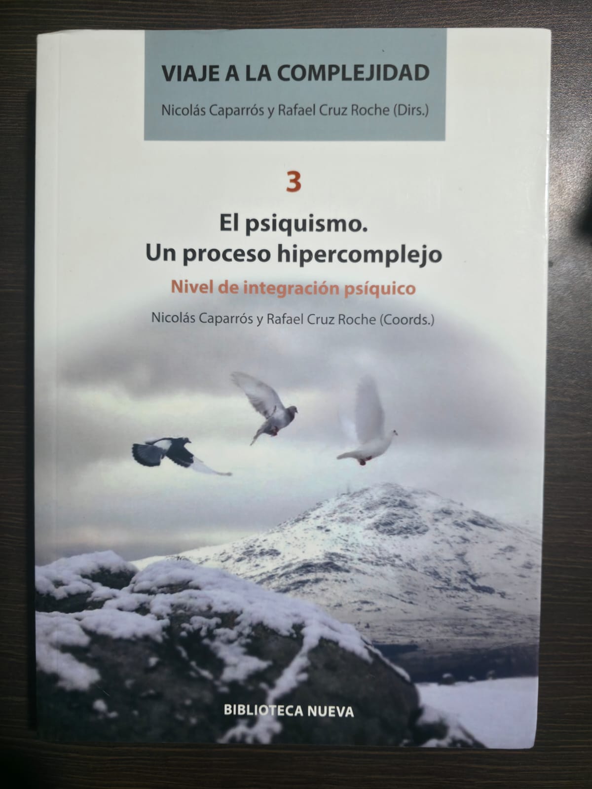 El psiquismo: un proceso hipercomplejo
