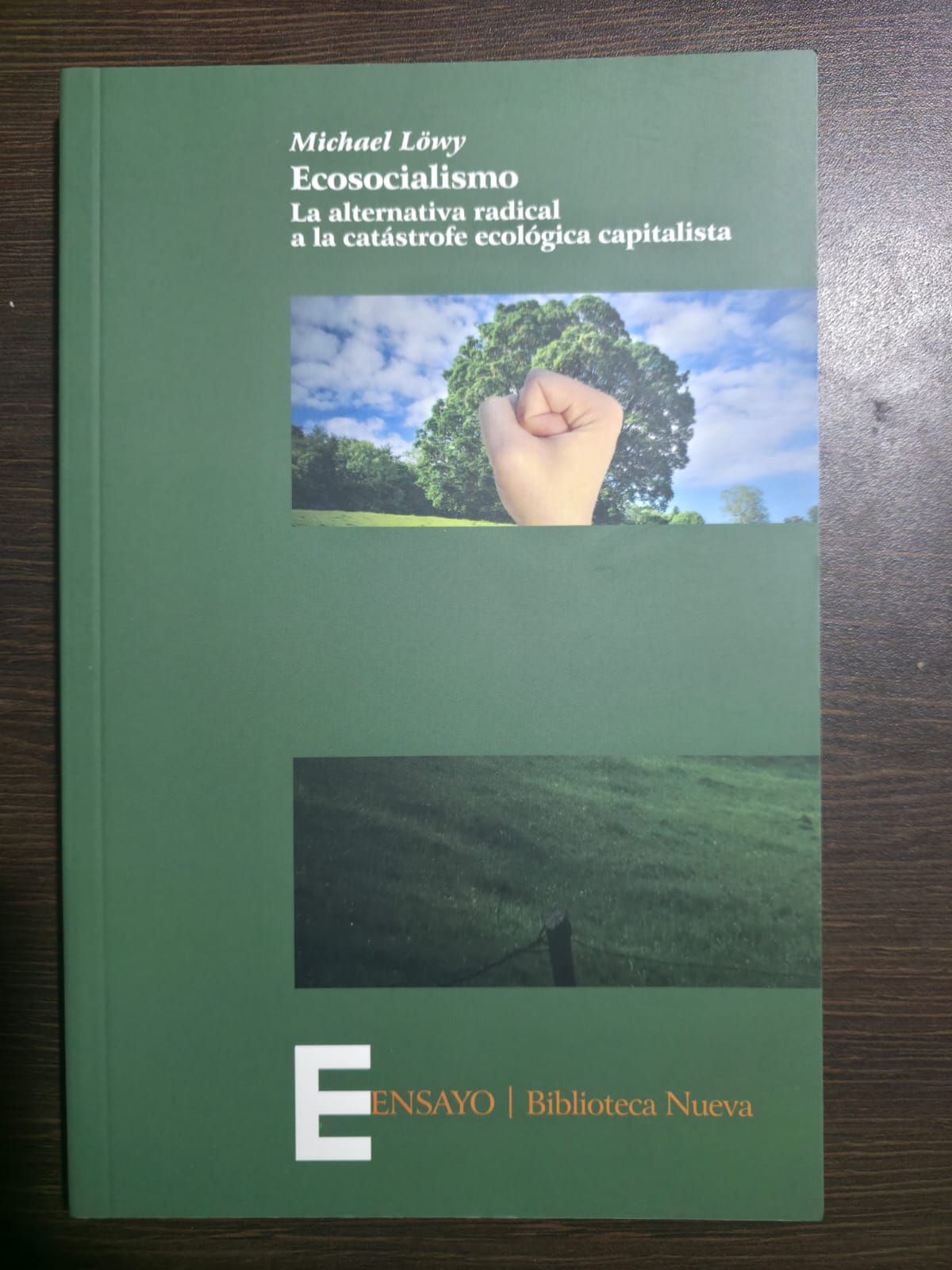 Ecosocialismo