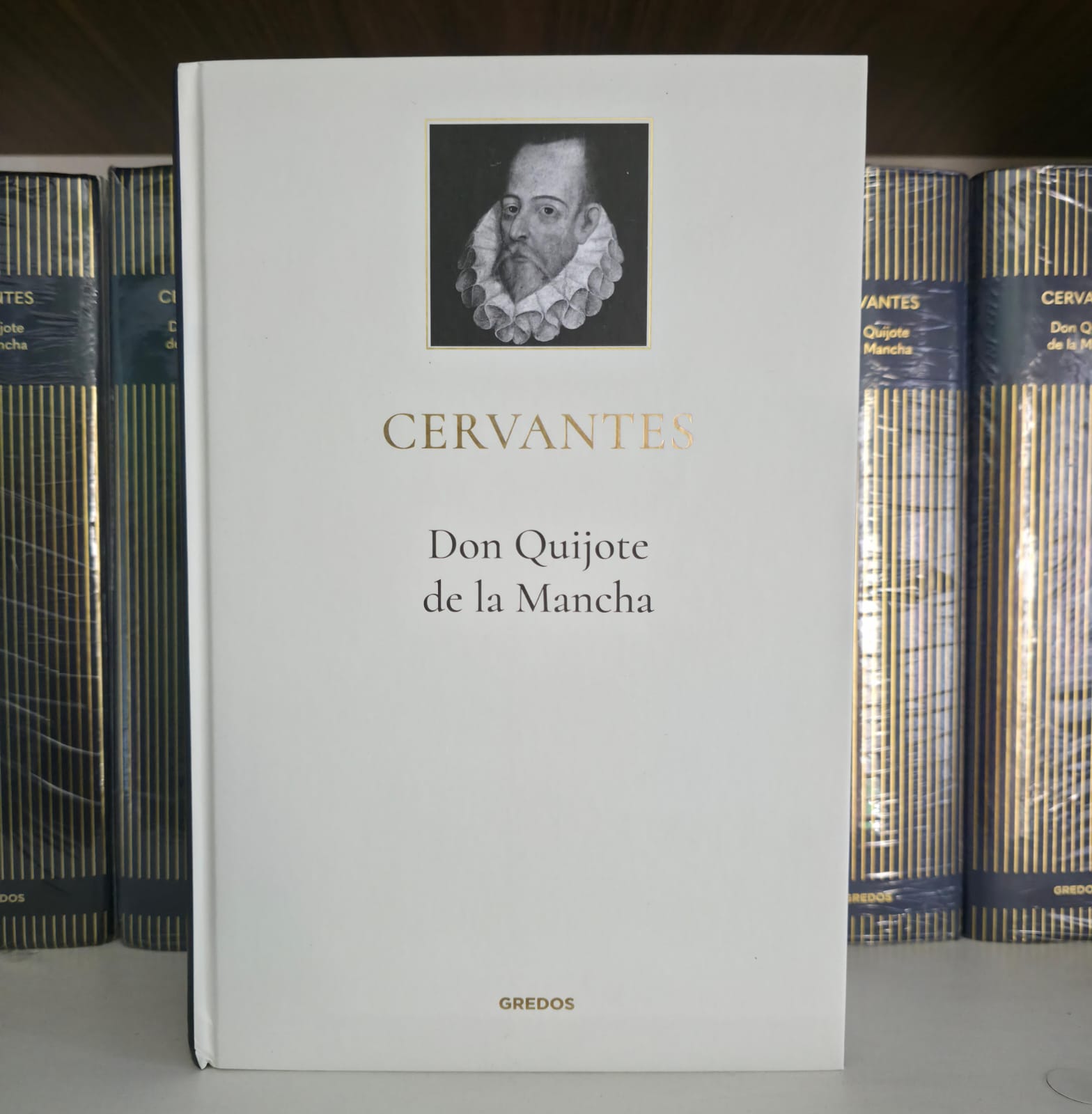 Don Quijote de la Mancha - Gredos